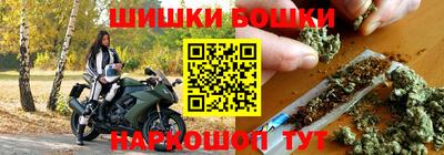 бошки Будённовск