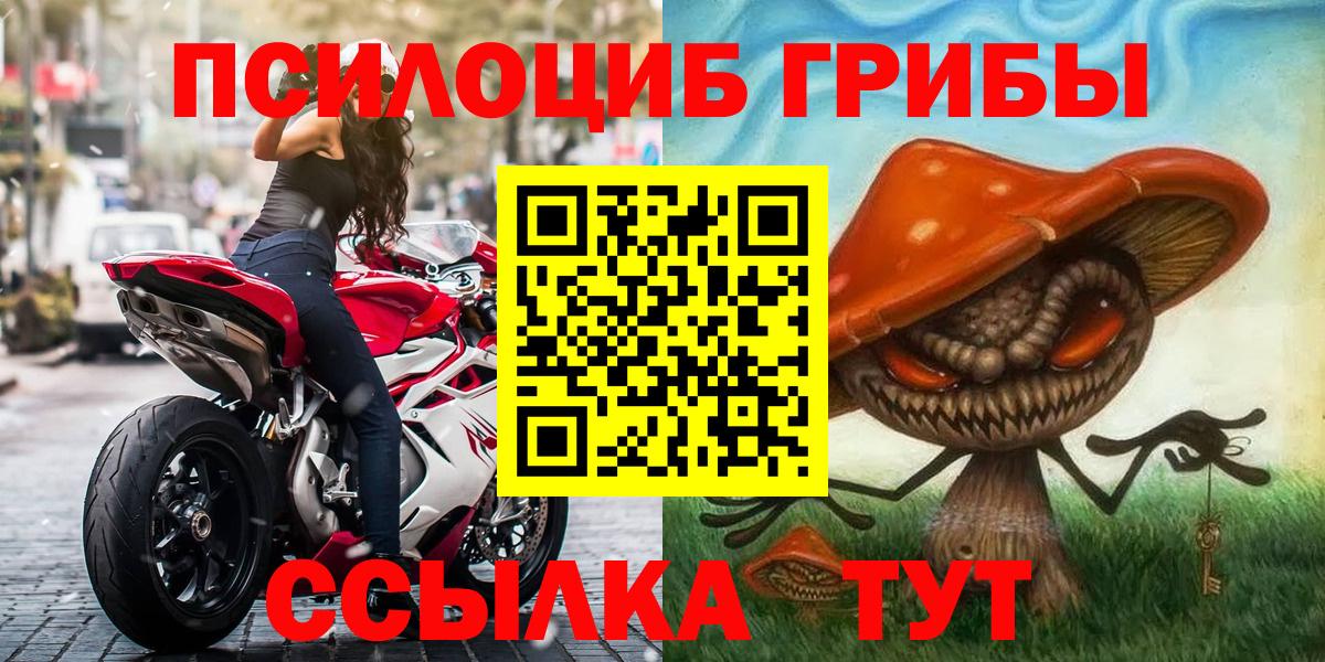 Псилоцибиновые грибы GOLDEN TEACHER Слободской